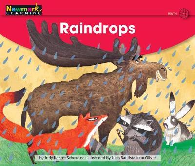 Book cover for Raindrops Leveled Text