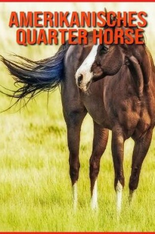 Cover of Amerikanisches Quarter Horse