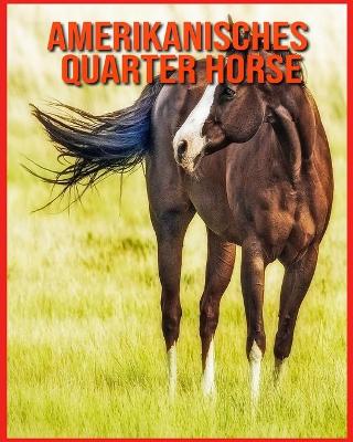 Book cover for Amerikanisches Quarter Horse
