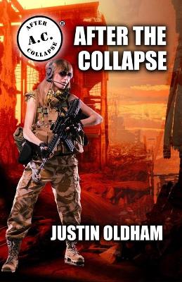 Book cover for After the Collapse