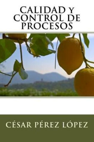 Cover of Calidad y Control de Procesos
