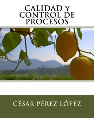 Book cover for Calidad y Control de Procesos