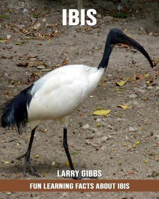 Book cover for Fun Learning Facts about Ibis