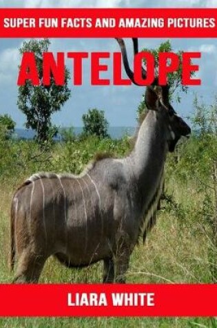 Cover of Antelope