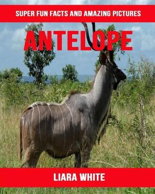 Book cover for Antelope