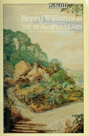 Book cover for Beautiful Years