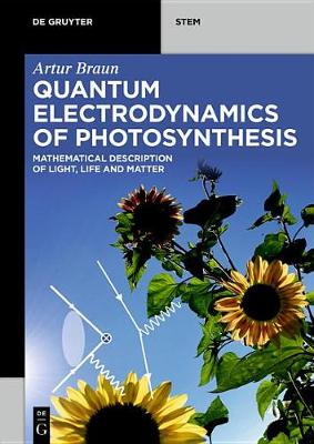 Cover of Quantum Electrodynamics of Photosynthesis