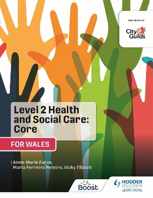 Book cover for Level 2 Health and Social Care: Core (for Wales)