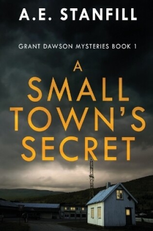 Cover of A Small Town's Secret