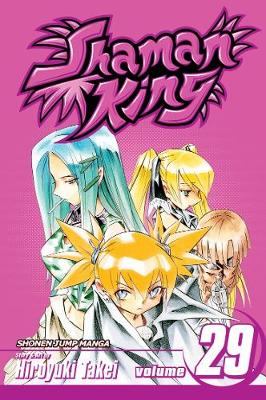 Book cover for Shaman King, Vol. 29