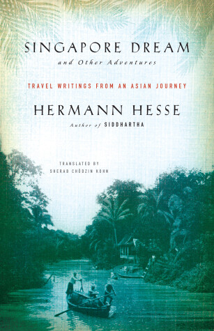 Book cover for Singapore Dream and Other Adventures