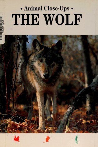 Cover of The Wolf, Night Howler