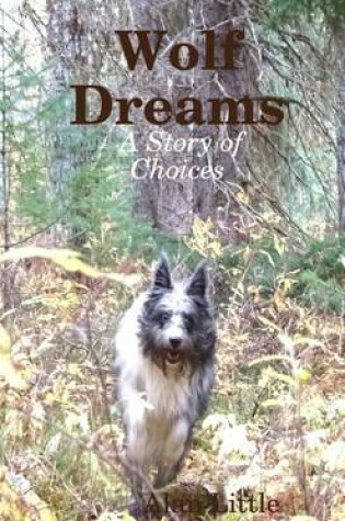 Cover of Wolf Dreams : A Story of Choices