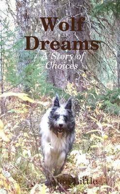 Book cover for Wolf Dreams : A Story of Choices