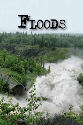 Cover of Floods