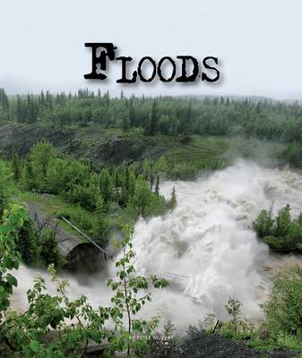 Cover of Floods