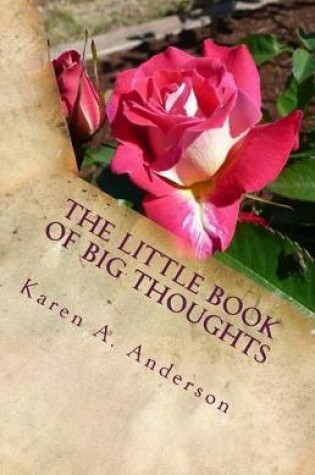 Cover of The Little Book of BIG Thoughts-Vol. 1