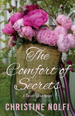 Book cover for The Comfort of Secrets