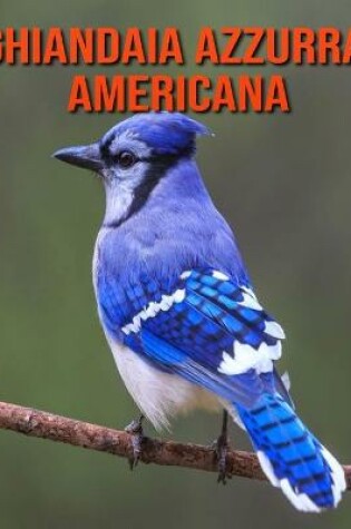 Cover of Ghiandaia azzurra americana