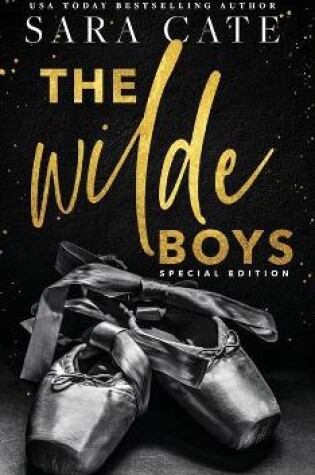 Cover of The Wilde Boys