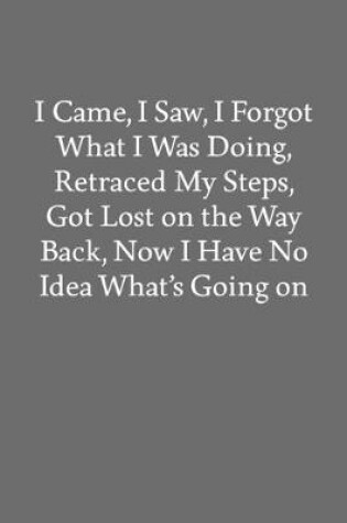 Cover of I Came, I Saw, I Forgot What I Was Doing, Retraced My Steps, Got Lost on the Way Back, Now I Have No Idea What's Going on