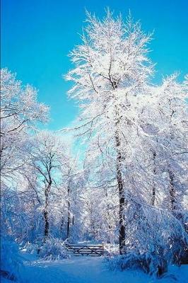 Book cover for Journal Snowy Forest