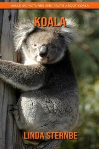 Cover of Koala