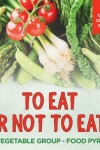 Book cover for To Eat Or Not To Eat? The Vegetable Group - Food Pyramid