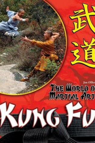 Cover of Kung Fu