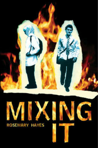 Cover of Mixing It