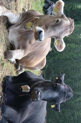 Book cover for A Pair of Cool Cows with Cow Bells Journal