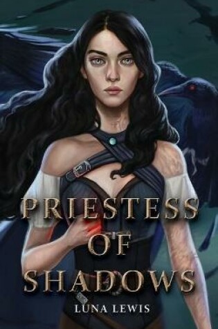 Cover of Priestess of Shadows