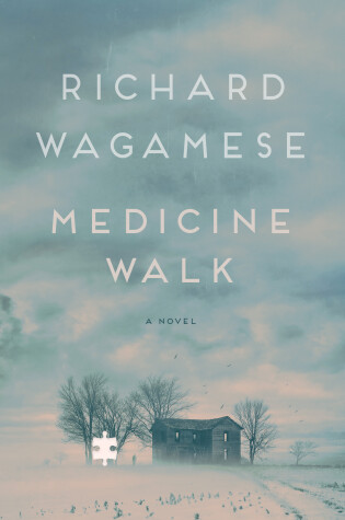 Cover of Medicine Walk