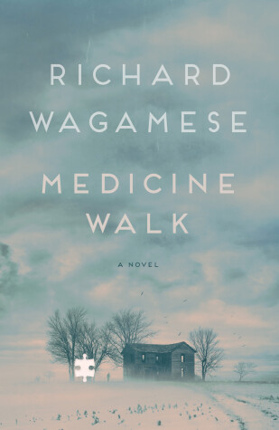 Book cover for Medicine Walk