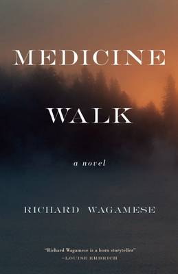 Book cover for Medicine Walk