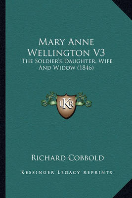 Book cover for Mary Anne Wellington V3 Mary Anne Wellington V3