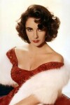 Book cover for Elizabeth Taylor notebook - achieve your goals, perfect 120 lined pages #1