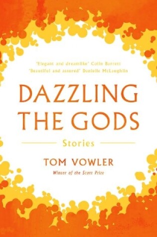 Cover of Dazzling the Gods