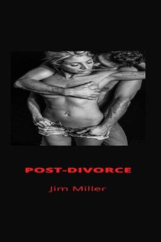 Cover of Post-Divorce