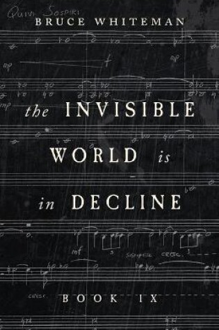 Cover of The Invisible World Is in Decline Book IX