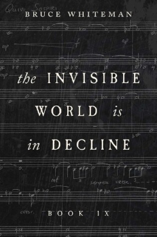 Cover of The Invisible World Is in Decline Book IX