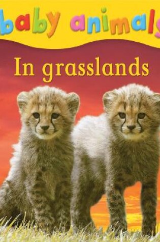 Cover of Baby Animals: In Grasslands