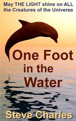 Book cover for One Foot in the Water