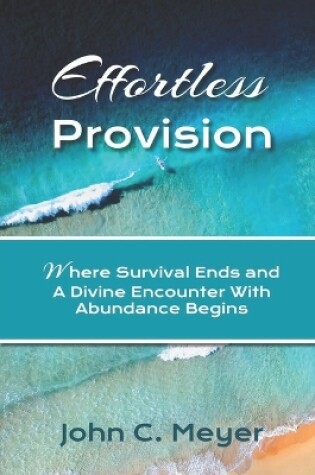 Cover of Effortless Provision