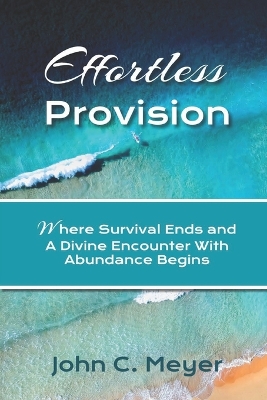 Book cover for Effortless Provision