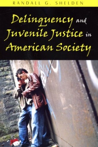 Cover of Delinquency and Juvenile Justice in American Society