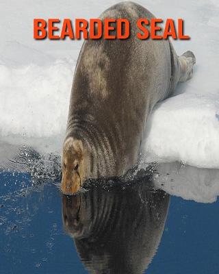 Book cover for Bearded Seal