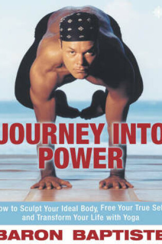 Cover of Journey into Power