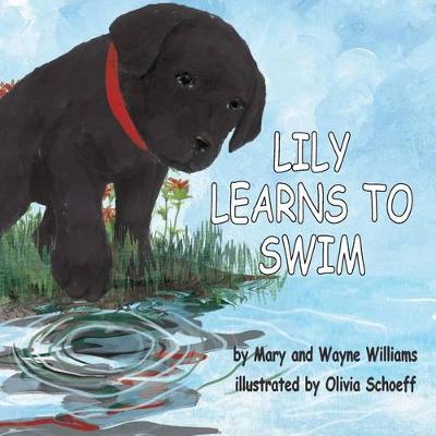 Book cover for Lily Learns to Swim