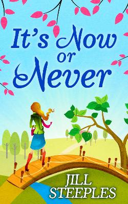 It's Now Or Never by Jill Steeples